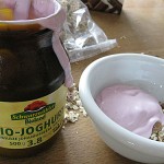 Schwarzwälder Bio-Joghurt