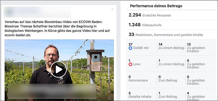 Facebook-Video als Beispiel: große Reichweite (bei rund 150 Followern)