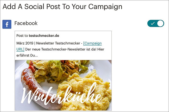 Du kannst Deinen Newsletter auch in Deinen Social Media Profilen veröffentlichen. 