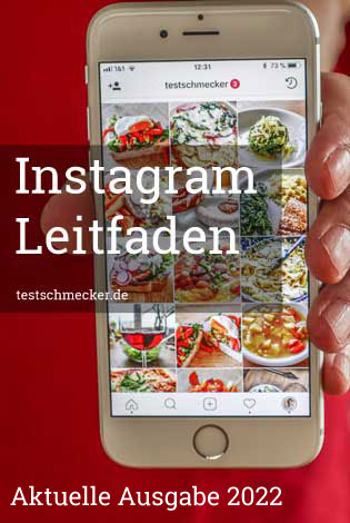 Instagram Leitfaden 2022