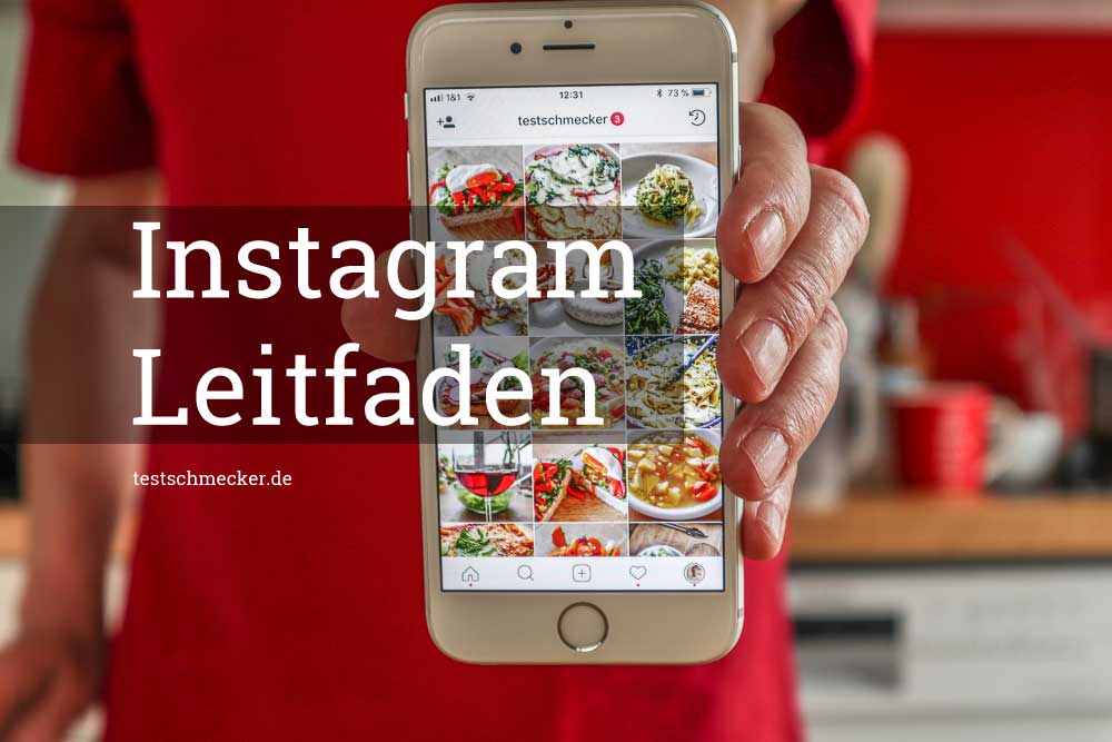 Den Instagram Leitfaden für Foodblogger 2021 gibt es kostenlos.