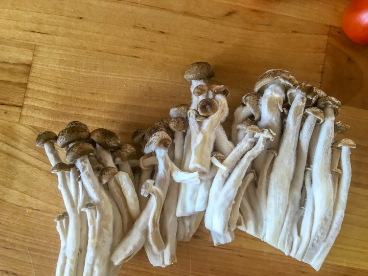 Pilz-Vielfalt aus dem Supermarkt